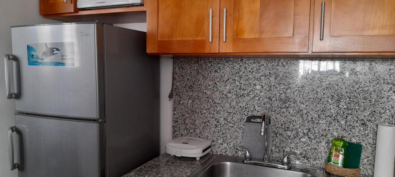 Apartament Residencial Palmas De Gurabo Santiago De Los Caballeros Zewnętrze zdjęcie